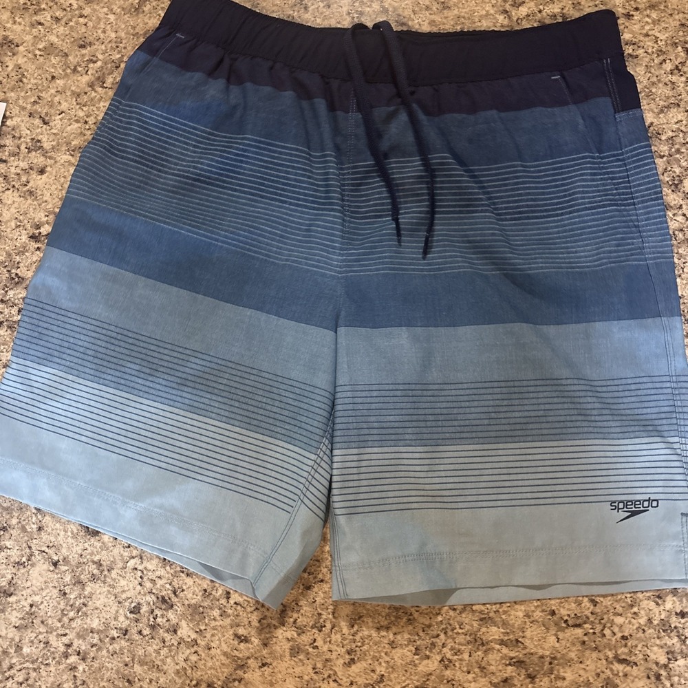 Speedo Shorts Men's M Swim Trunks Blue Stripe UPF 50+  Liner Cpix EUC
